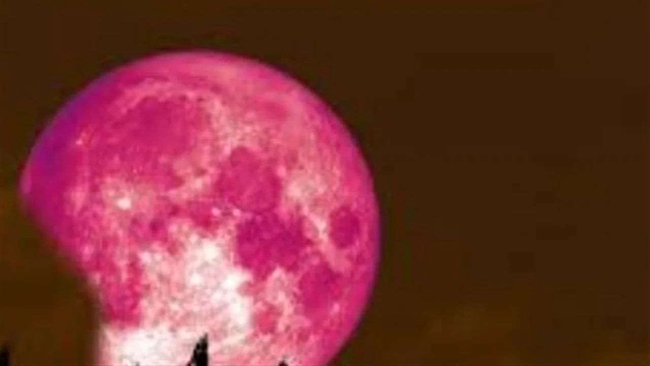 ظاهرة فلكية.. توقيت رصد القمر الوردي بوضوح تام في سماء الدول العربية